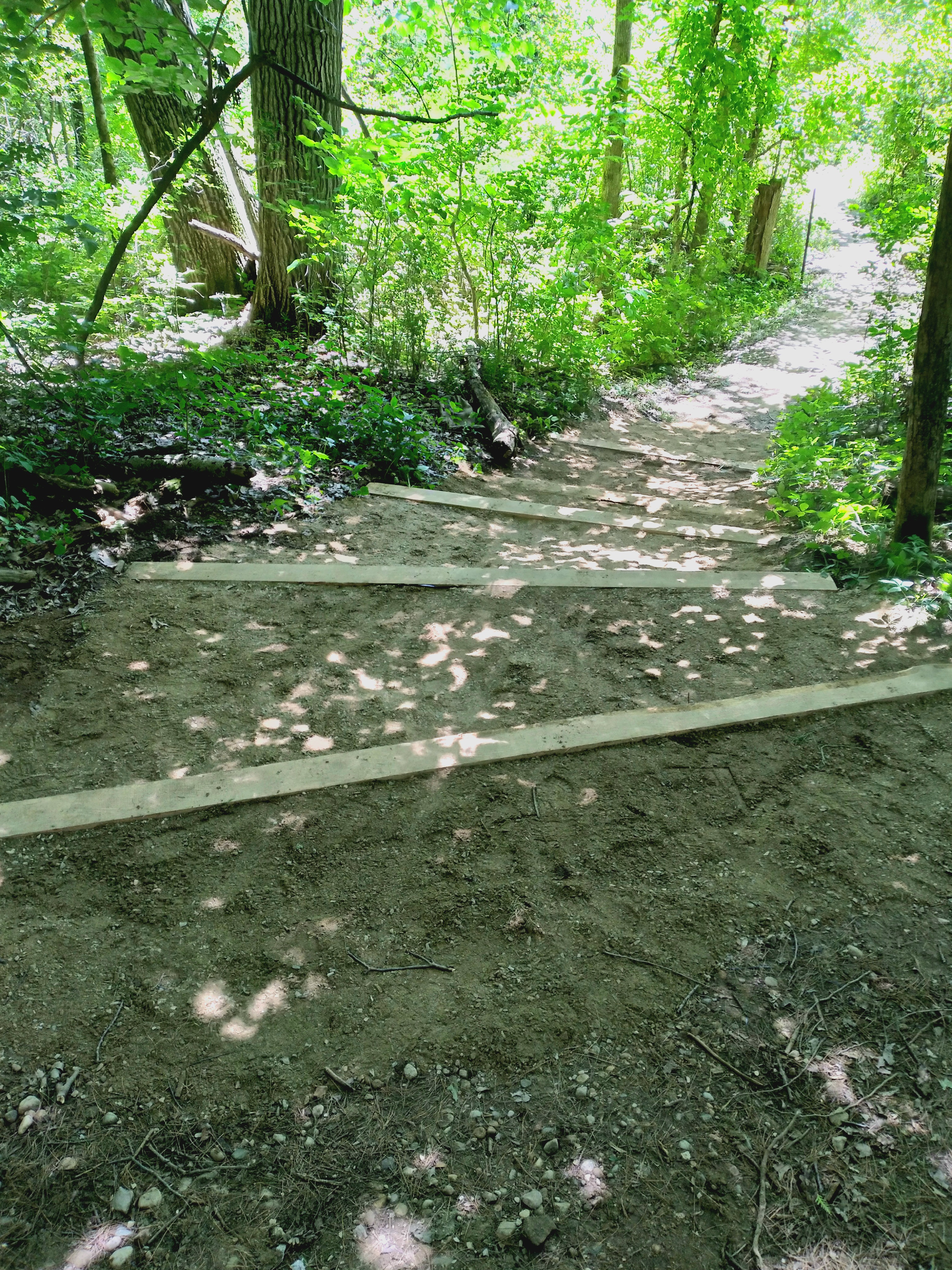 Entrance Trail Improvements.jpg